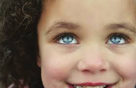 The incredible shrinking county Bus driver charged after LOLPS accident by  Jeff Green