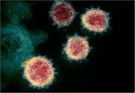 La variante delta se ha convertido en la variante del coronavirus más prevalente en ee.uu., solo por detrás de la variante alfa, según el centros de control y prevención de enfermedades. Sars Cov 2 Delta Variant Likely To Become Dominant In The United States