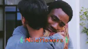 abed/-哔哩哔哩_Bilibili