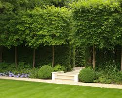 Holland Park Randle Siddeley Formal Garden Design Garden Design Formal Gardens