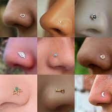Diferentes Estilos De Pantallas Ideias Para Piercings Brincos Para Orelhas Furadas Piercing De Nariz