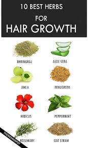 10 Best Herbs For Hair Growth Herbs For Hair Ayurvedic Hair Care Herbs For Hair Growth