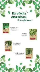 Nos Plantes Aromatiques En 2020 Plantes Aromatiques Aromates Graines Bio