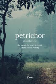15 Beautiful Quotes About The Rain That Perfectly Capture Our Love For Monsoons Unusual Words Weird Words Beautiful Words In English