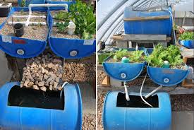 Should you do an aquaponics design course ecofilms. 23 Diy Aquaponics Systems To Grow Vegetables Fish Together The Self Sufficient Living