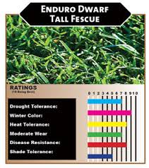 We did not find results for: Enduro Dwarf Tall Fescue Aptos Landscape Supply