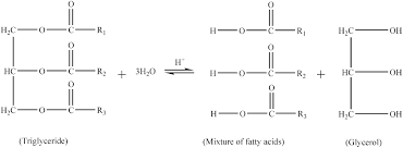 Check spelling or type a new query. Separation And Purification Of Fatty Acids By Membrane Technology A Critical Review