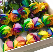 We offer an extraordinary number of hd images that will instantly freshen up your smartphone or. Happiness Is Seeing Your Loved One Smile Roses Rainbowroses Happyroses Crystalroseslondon Love Annivers Rainbow Roses Rose Beautiful Rose Flowers