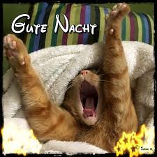 Lustige gute nacht bilder für freunde. Gute Nacht Bilder Lustig Neu Gbpicsbilder Com