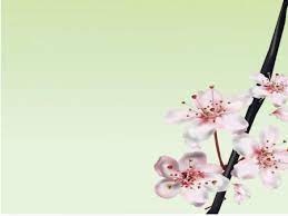صور خلفيات بوربوينت جديدة متحركة وثابتة بجودة عالية ميكساتك background images wallpaper backgrounds abstract artwork