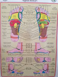 The Ingham Reflexology Chart Reflexology Health Thyroid