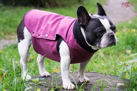 Sie müssen dennoch natürlich nun einige weitere. Hundemantel Aus Softshell Made By Frau S