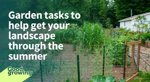 Check spelling or type a new query. Garden Tasks To Help Get Your Landscape Through The Summer University Of Illinois Extension