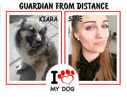 GSPSA Started Guardian from Distance