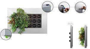 pin op green walls living walls