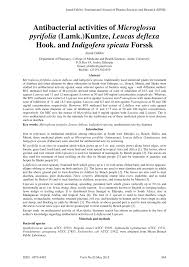 Image result for Leucas deflexa