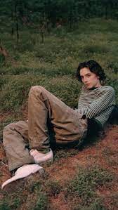 See more ideas about women, timothee chalamet, woman movie. Timothee Chalamet Lockscreen Uploaded By Daphne