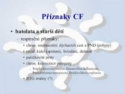 Klinické prejavy cystickej fibrózy cf je multiorgánové ochorenie, príznaky ochorenia môžu byť u každého pacienta vyjadrené v rôznej intenzite a postihovať rozličné orgány. Cysticka Fibroza Ppt Stahnout