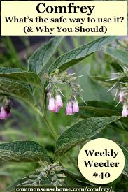 We did not find results for: Comfrey What S The Safe Way To Use It Why You Should