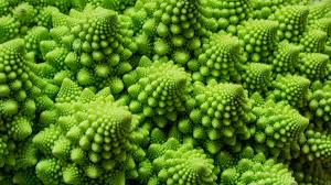 Image result for fractal