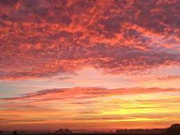 In rochester, minnesota, the first day of august is 14 hours, 38 minutes long. Sunrise And Sunset Times In Your Location The Old Farmer S Almanac
