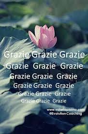 Ringraziare Grazie Di Cuore A Tutti Per Gli Auguri Ricevuti Grazie Gratitudine Graz Riflessioni