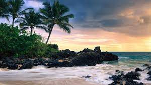 55 Tropical Laptop Wallpapers Download At Wallpaperbro Beach Wallpaper Hawaii Beaches Top 10 Beaches