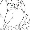 Gambar gambar gajah sketsa paling baru download now sketsa gambar. 1