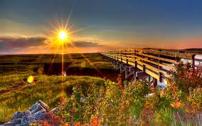 Albertson alege sa realizeze peisaje in cadre ample. Senderos De Paz Poze Wallpaper Hd 1440x900 Wallpapertip