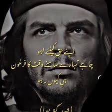 💔 what a demonstration of empathy and love beyond anything but love. we  should only learn from animals, instead we're capable of mischievous  behaviors: against animals and against our own species.