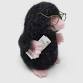 Mr Mole Needle-felting Workshop event in Chorley