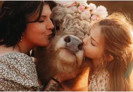 Pottstown farm celebrates ten years of service