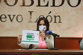Clara luz flores propuso este jueves reactivar los domingos de metro gratis, luego de que el gobernador jaime rodríguez lo eliminara para fortalecer el sistema financiero de la paraestatal. Clara Luz Flores Alcaldesa De Escobedo Dio Positivo Por Covid 19 Infobae