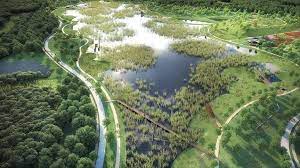 Mar 31, 2021 · overview of wetland components. Wetlands Productive Ecosystem As Amazon Rainforest