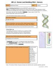 Takes at most 5 minutes. Vinicio Rodriguez Dna Structure Gizmo Pdf Student Exploration Building Dna Directions Follow The Instructions To Go Through The Simulation Respond Course Hero