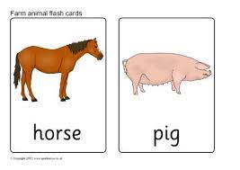 Farm Animal Flash Cards Sb7730 Sparklebox