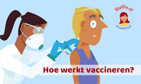 Hoe kan het dat je lichaam daarna een ziekte kan verslaan? Hoe Werkt Vaccineren Steffie Nl