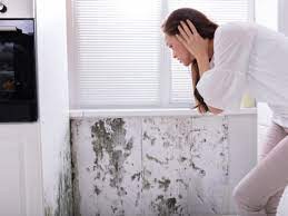 Supports all key elimination organs and pathways that play a key role in your body's ability to detox mold. How To Detox Your Body From Mold Naturally Using Diet Supplements