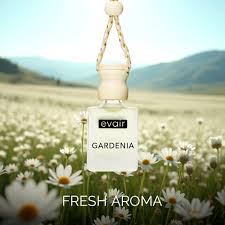 Car Essential Oil Diffuser