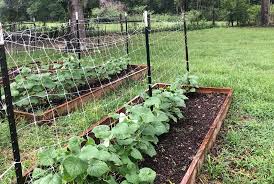 Hortonova Trellis Netting National Garden Bureau In 2020 Vertical Vegetable Gardens Indoor Vegetable Gardening Vegetable Trellis