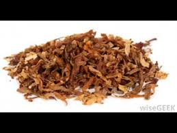 Terkini, kejadian yang berlaku di persimpangan jalan jelutong dan sungai pinang di mana terdapat lima batang pokok tua yang berusia dalam lingkungan lima hingga enam tahun yang. Betel Nuts Facts And Health Benefits