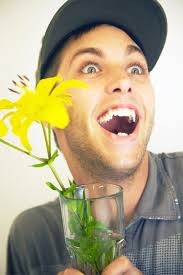 Everything you need to know about WILL CALL