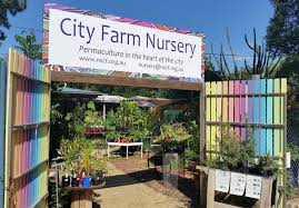 Best Nurseries And Plant Shops In Brisbane