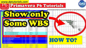 How To Show Only Some Wbs In The Gantt Chart In Primavera P6 Free Primavera P6 Online Tutorials