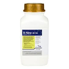 B-Nine 85SG