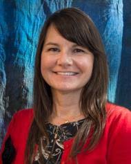 Red flyer template D