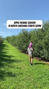 I’ll concede that it isn’t “Fall” yet… but… that doesn’t stop Apple picking  season! Apple orchards are getting ready to open for the first pickers.  Find one near you