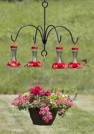 They will pay special attention to the person who changes out their hummingbird feeder, and will even get sassy with you as a reminder that the feeder needs a refill! 110 Hummingbird Feeder Ideas Hummingbird Humming Bird Feeders Hummingbird Garden