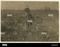 Seven ruby hi-res stock photography and images