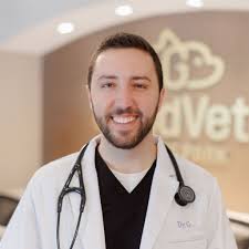The Best Charlotte Animal Hospital & Vets Near Me